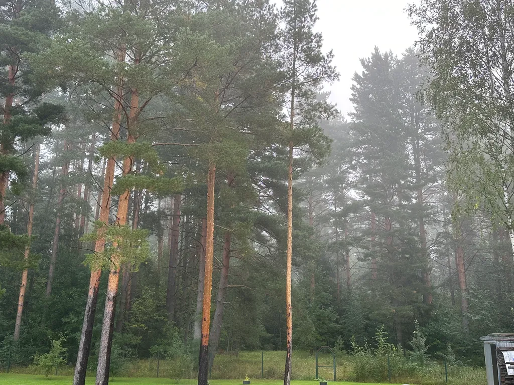 Коттедж Дом у леса — Порхово