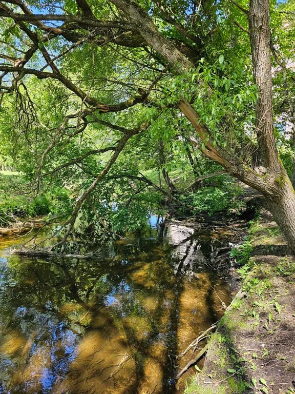 Апартамент на территории санатория Альфа-Радон