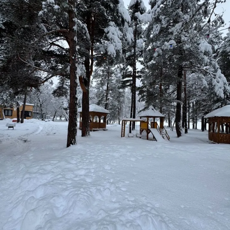 Коттедж Новый коттедж в лесу — Архыз