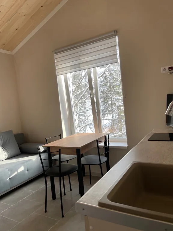 Апартамент однокомнатный на троих