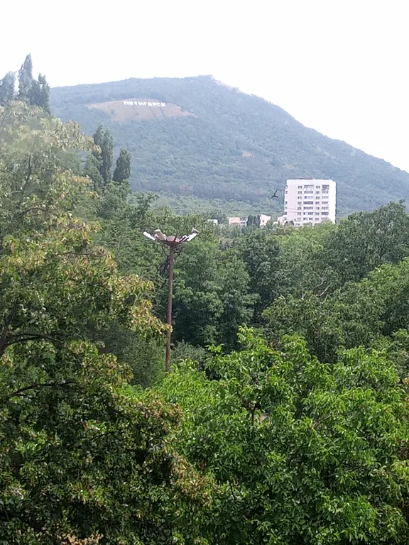 Уютная квартира с видом на Машук