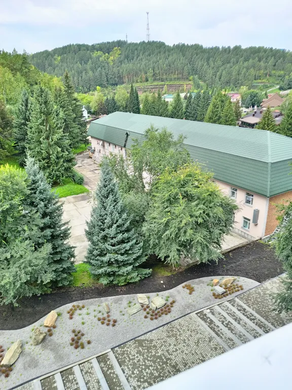 Квартира с лучшим расположением к санаториям, с видом на сосновый лес