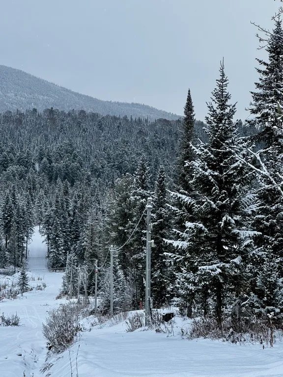 Приглашаем вас в новый, современный, уютный barn house