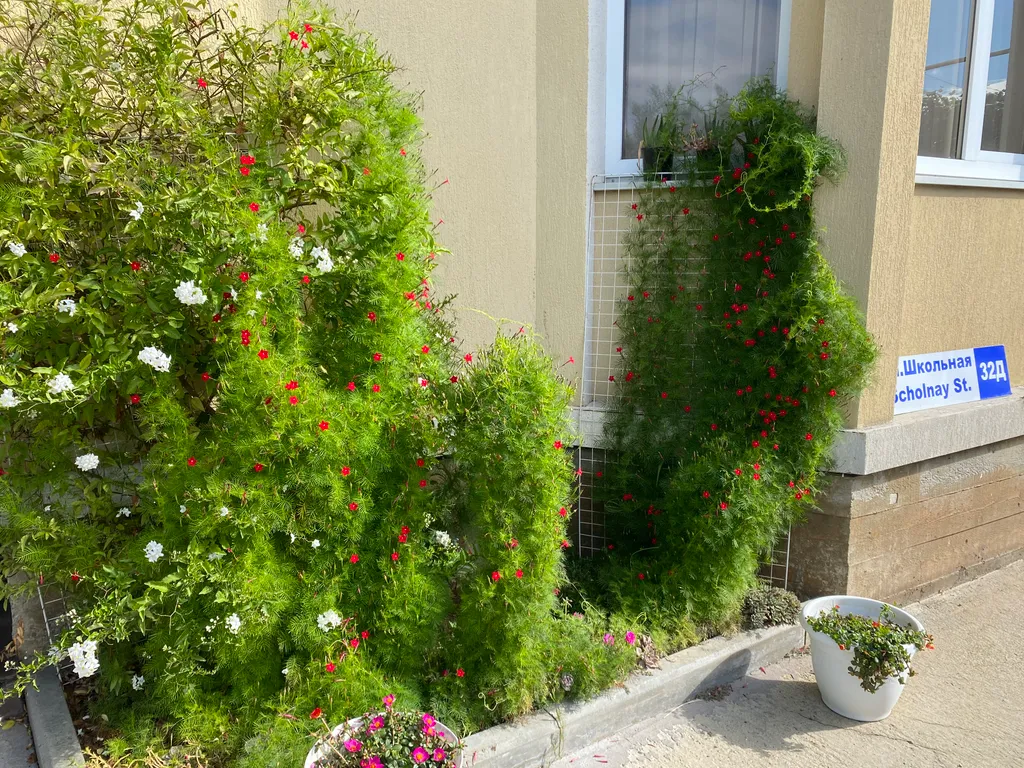 Коттедж Уютный дом на холме с красивыми видами на море, олимпийские объект — Сочи