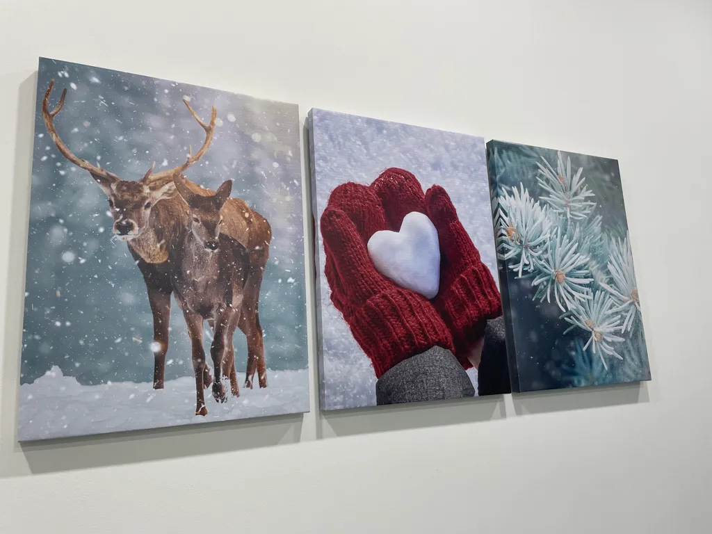 Г. П. Донковцев рекомендует- лучшая евро-трешка