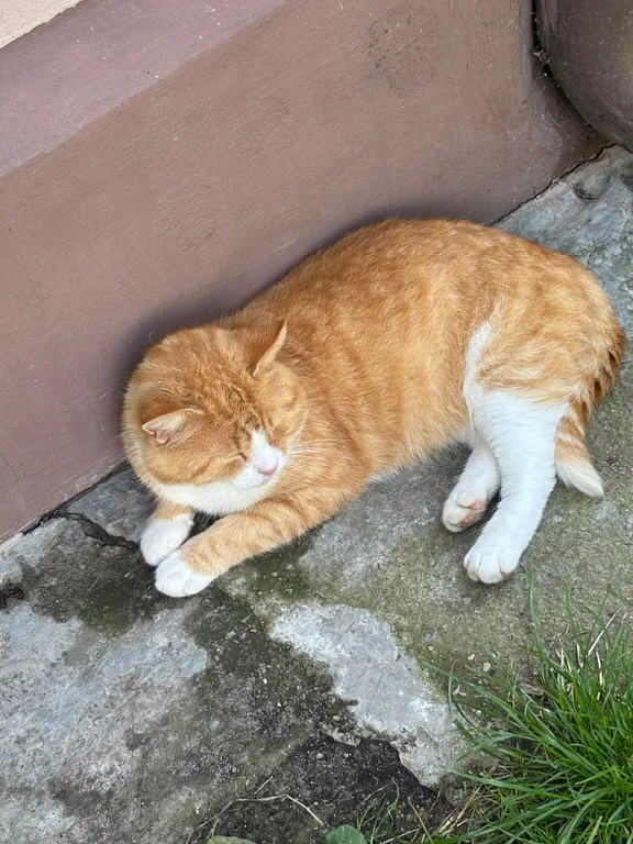 Квартира Комната — Пионерский