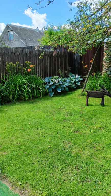 Дом-баня с бассейном