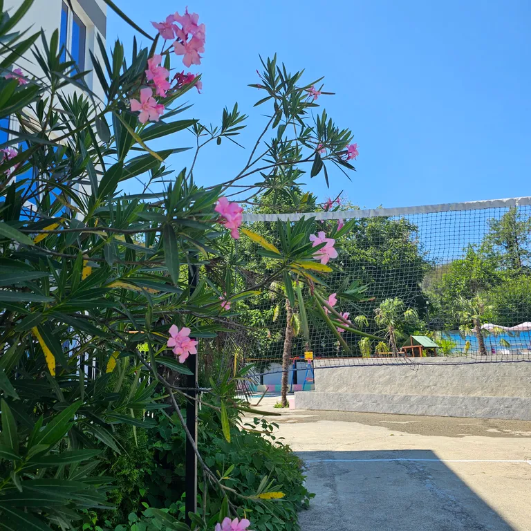 Квартира Квартира Студия на 4-х с бассейном на территории — Сочи