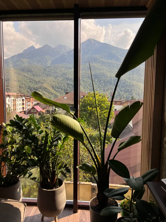 Квартира с видом на горы