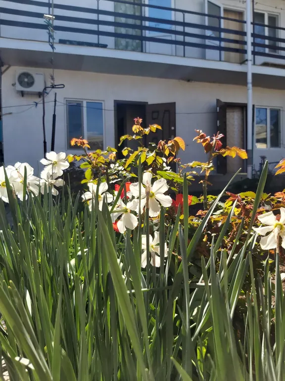 Квартира Семейная комната на троих — аренда посуточно в Феодосия