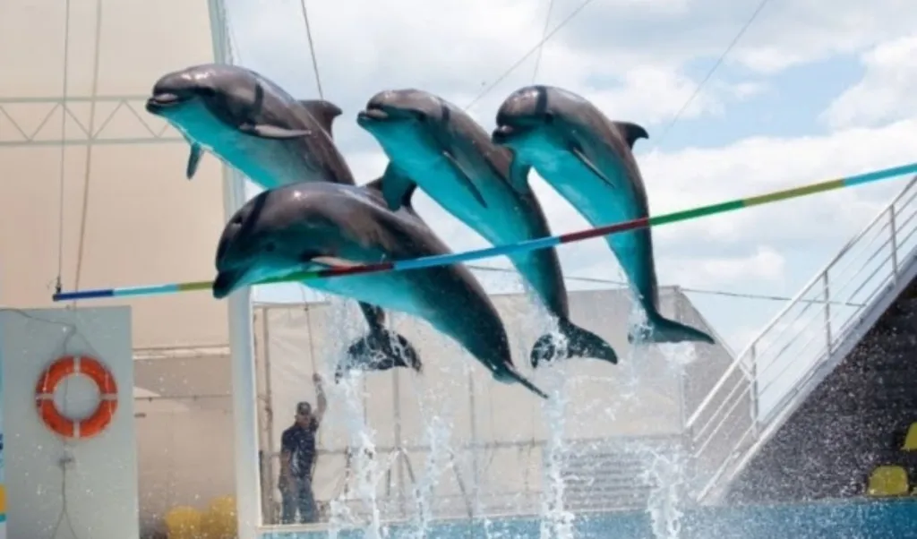 Апартамент у моря