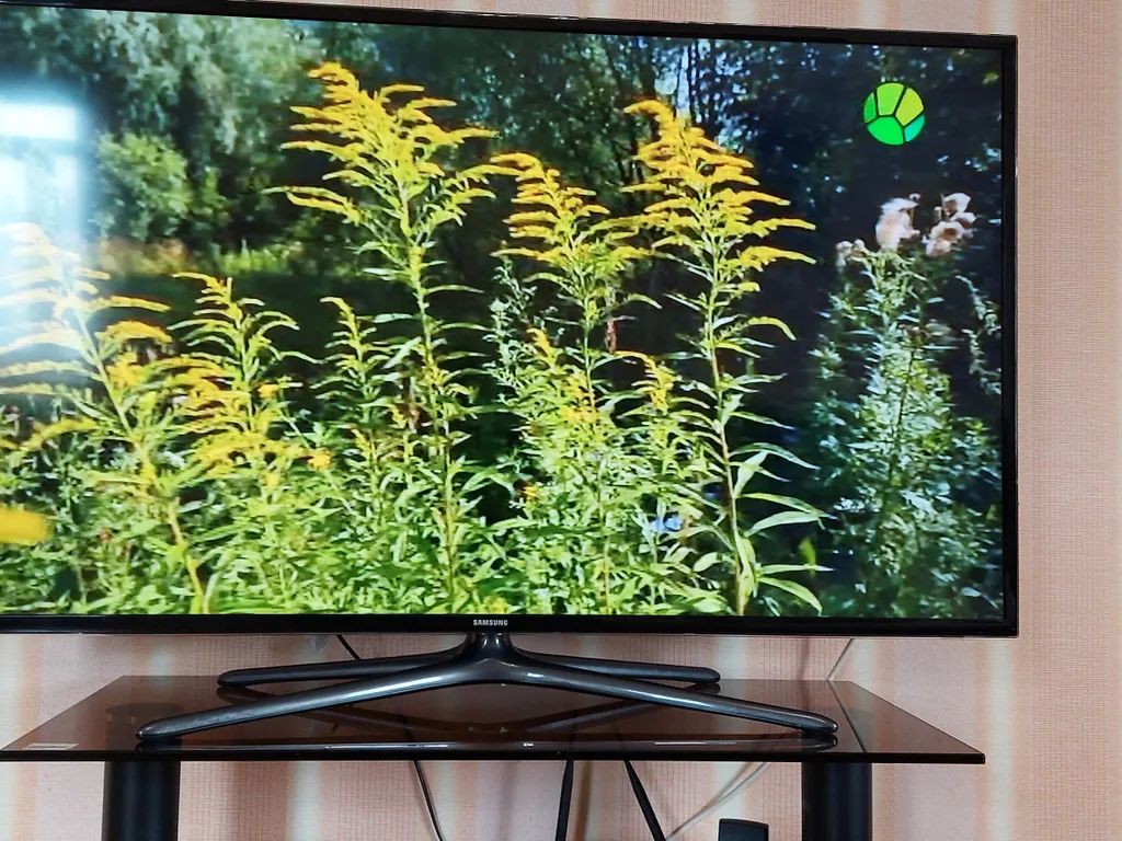 Квартира в центре города в районе автовокзала