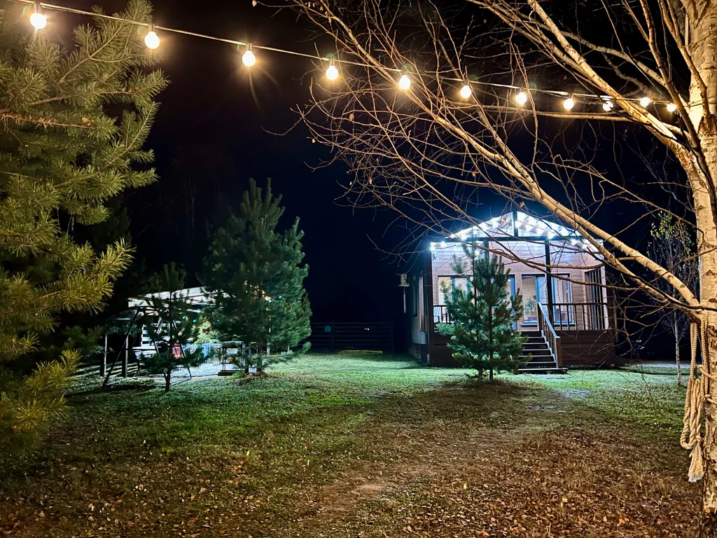 Стильный барн в соснах