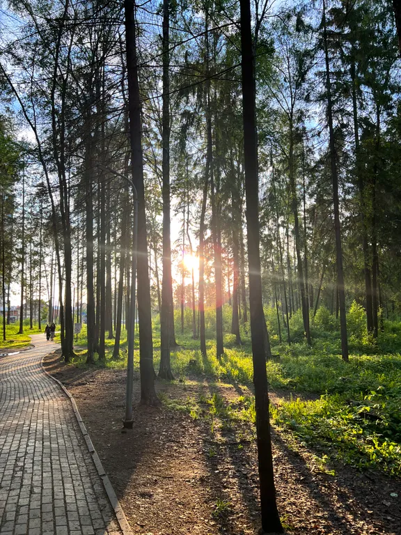 Уютная квартира в жилом комплексе Изумрудные Холмы
