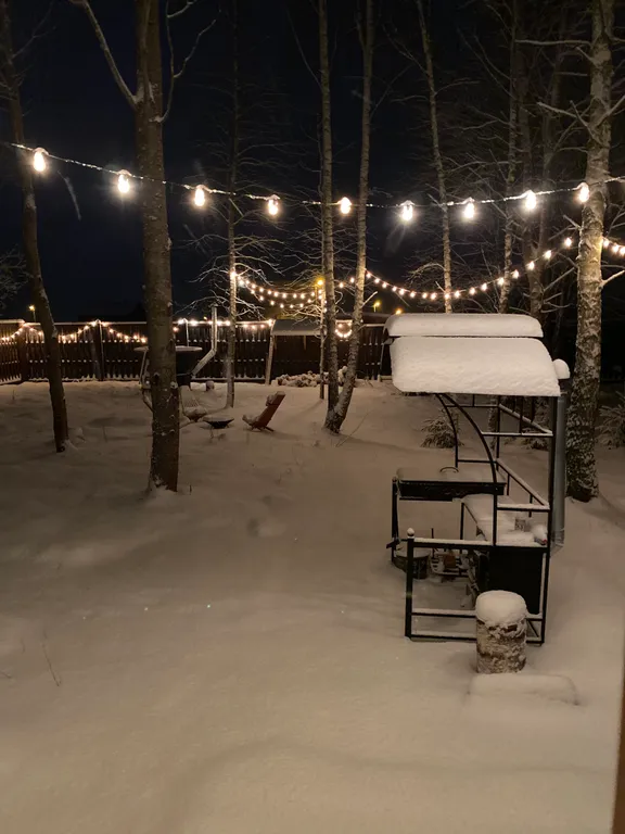 Дом с Сибирским чаном в лесной сказке