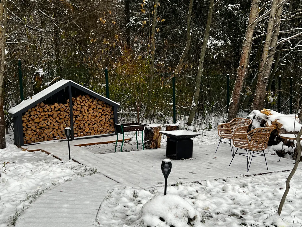 Дом Немо с уличной купелью  в лесу