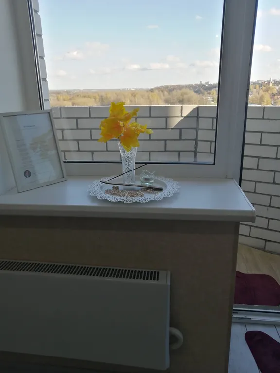 Видовые апартаменты