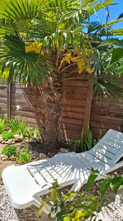 Коттедж Уютный домик с беседкой в центре — Севастополь