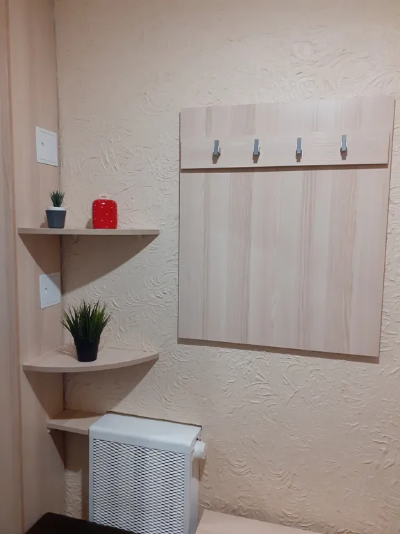 Уютные аппартаменты в центре города с отдельным входом