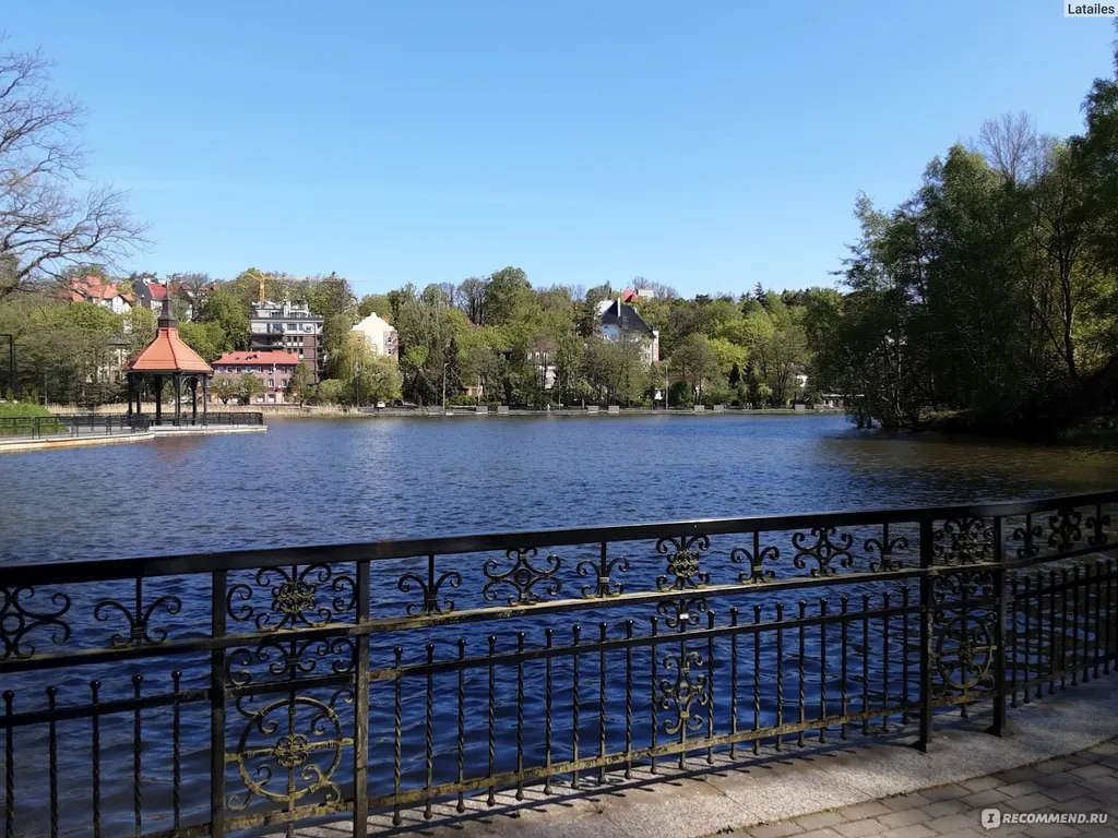 Фиола у озера