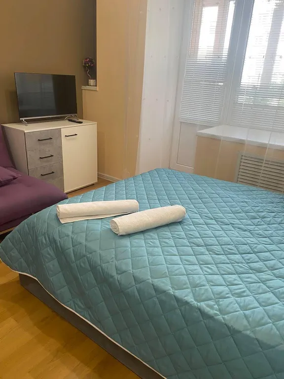 Уютная студия напротив стадиона