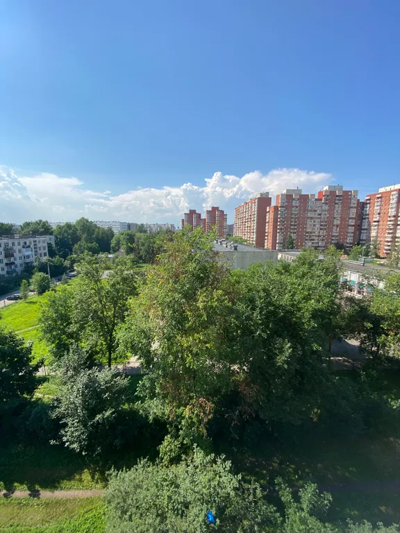 Однокомнатная квартира, в которой все есть