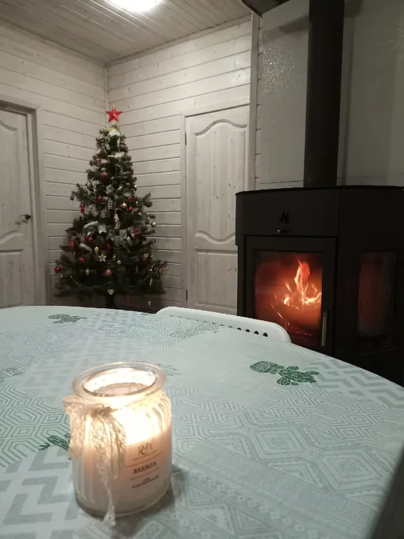 Уютный дом с камином и электрической сауной