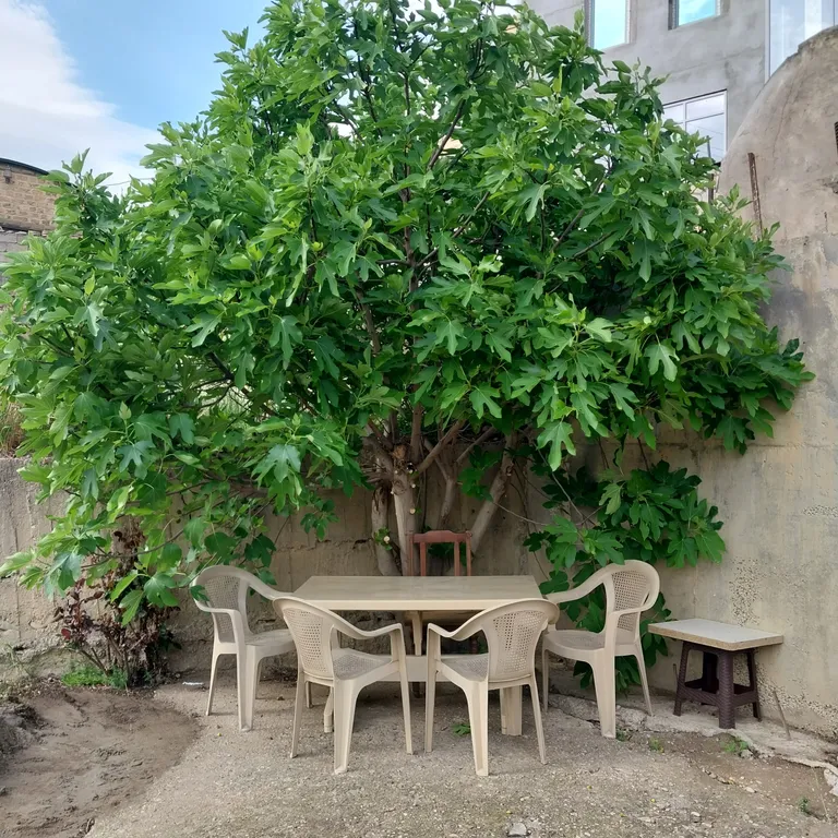 Уютный домик около речки