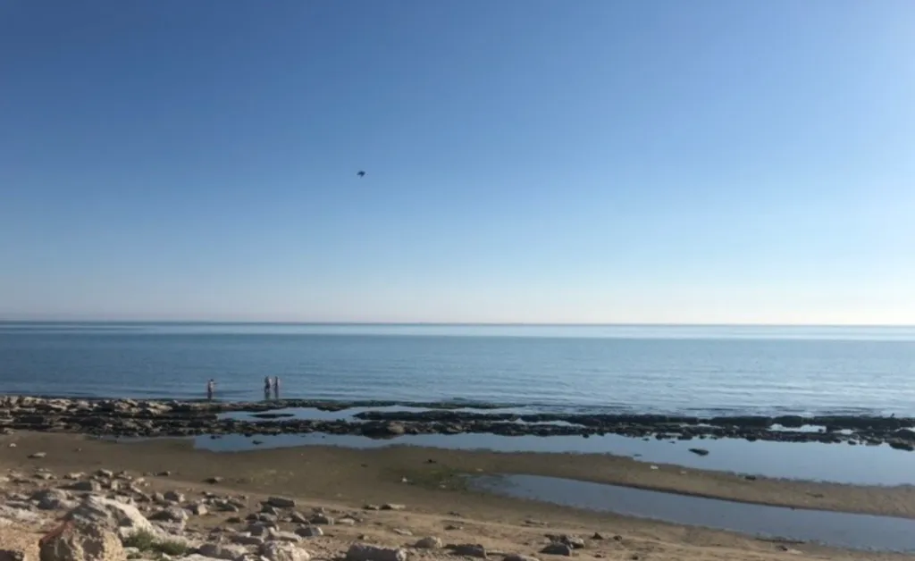 Квартира Уютные апартаменты около моря — Махачкала