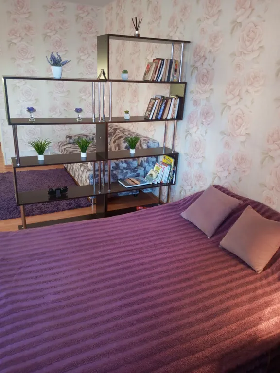 Студия в центре города, просторная с отдельной кухней и уютным балконом