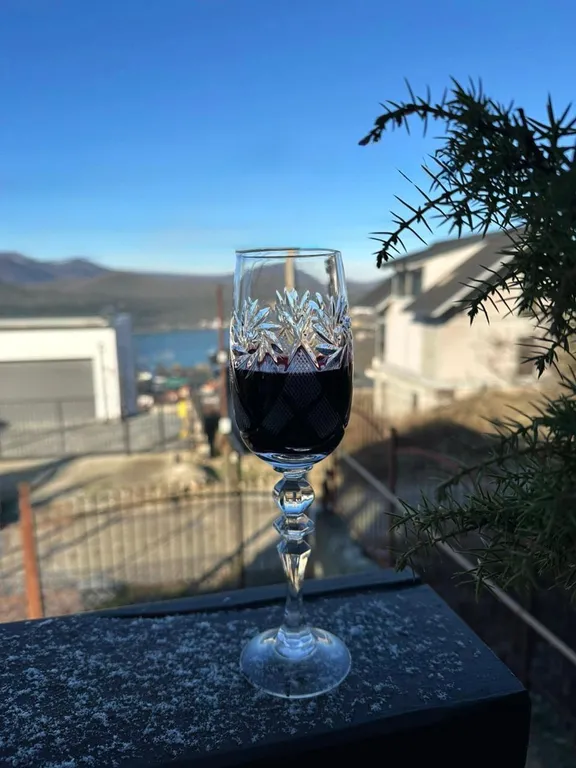 Дом на участке 12 соток