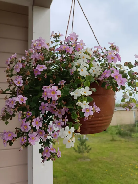 Уютный домик с сауной для спокойного отдыха