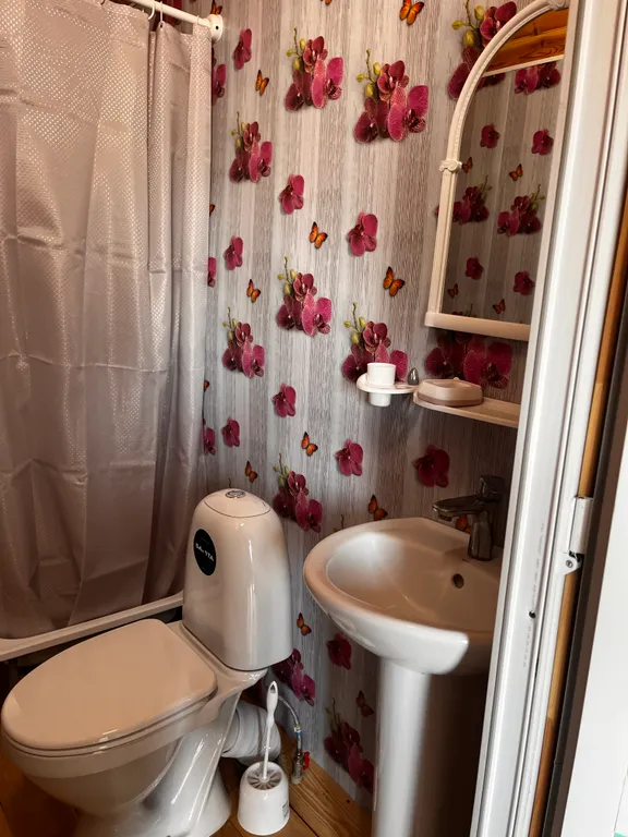 Отдых у Тоши