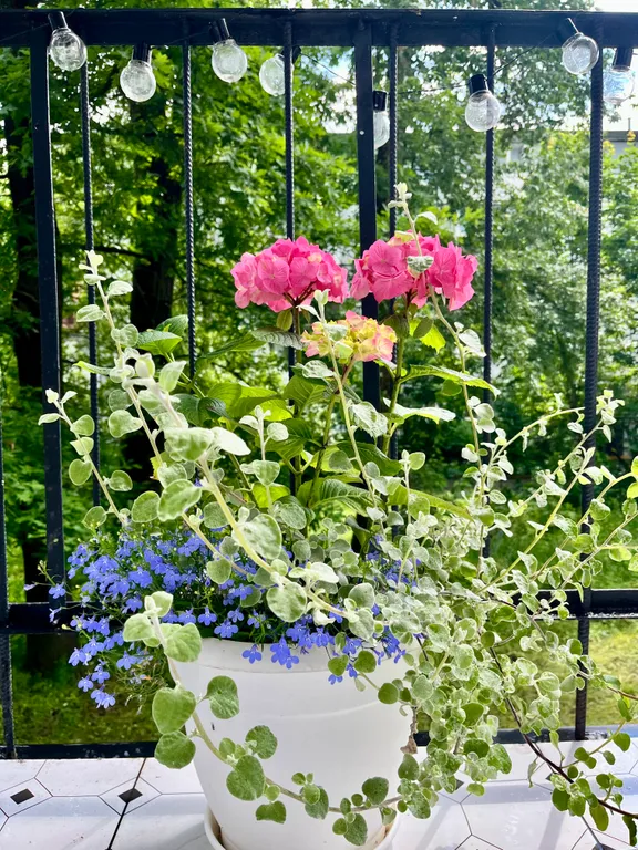 Двухкомнатные апартаменты с балконом Sinyaya ptichka