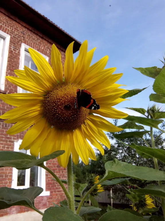 Апартамент в Усадьбе Малышева М.М