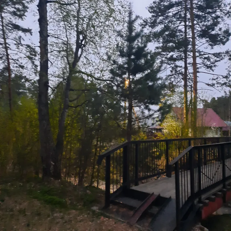 Гостевой дом в сосновом лесу в 15 минутах от курорта Манжерок