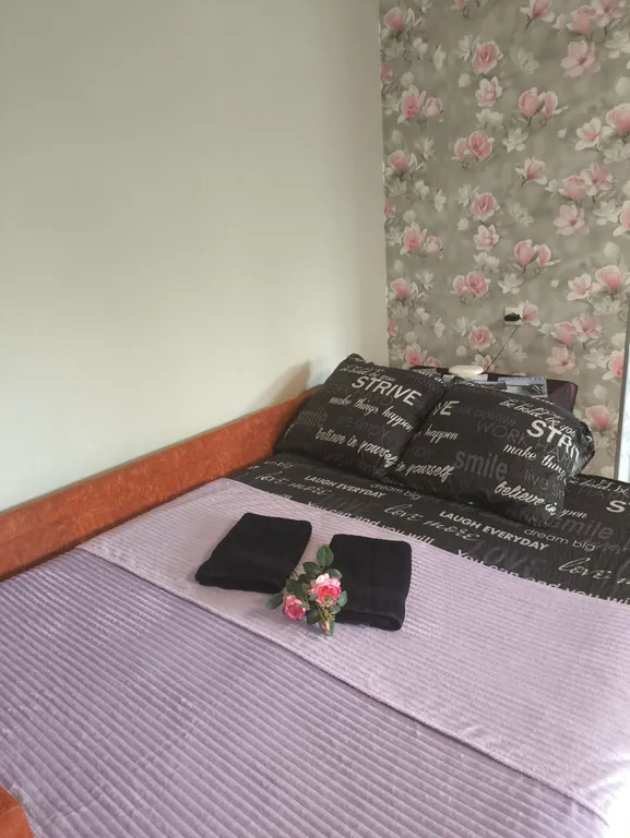 Апартаменты с видом на палату Пушникова в центре