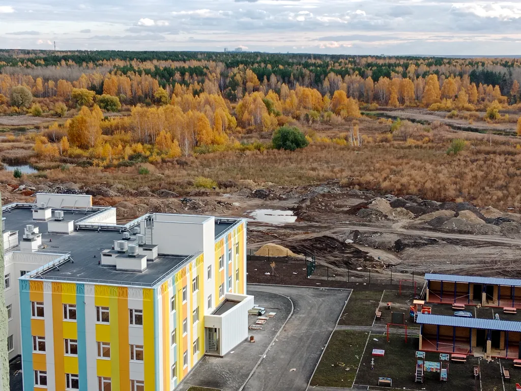 Студия с видом на бор