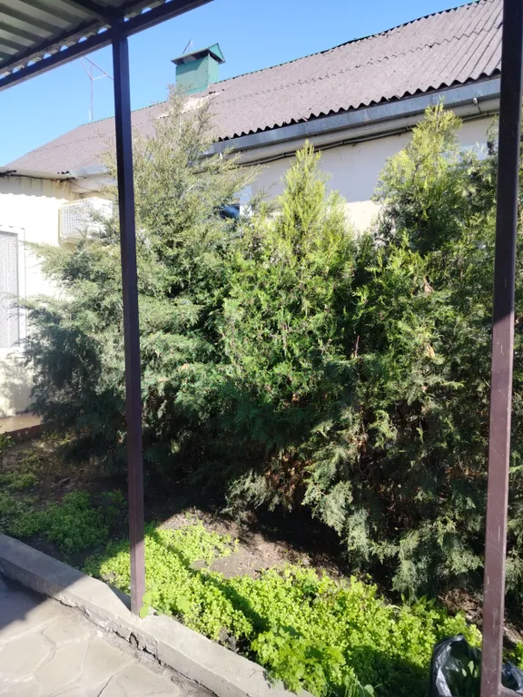 Дом возле моря, центр