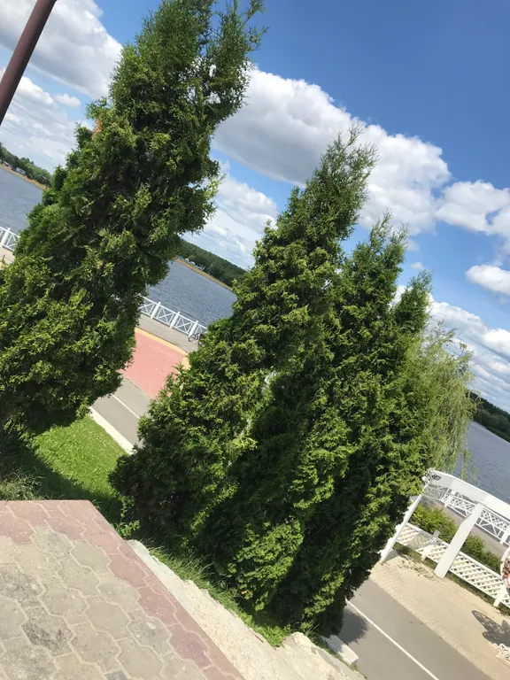 Уютная квартира в Спутнике ЖК Радужные Дворы