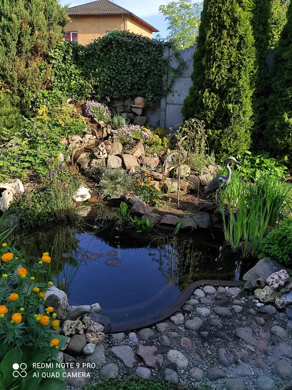 Гостевой дом с бассейном и баней на дровах