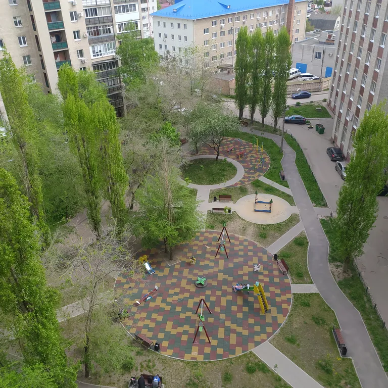 Эко-студия Джунгли
