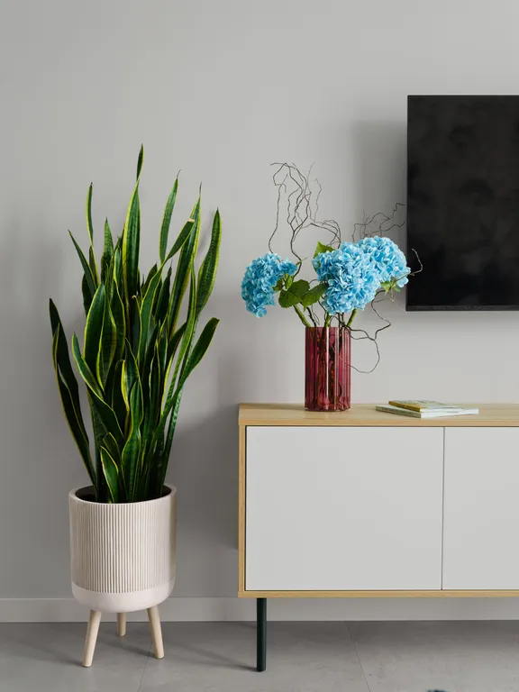 Квартира Премиальные апартаменты — Пушкин