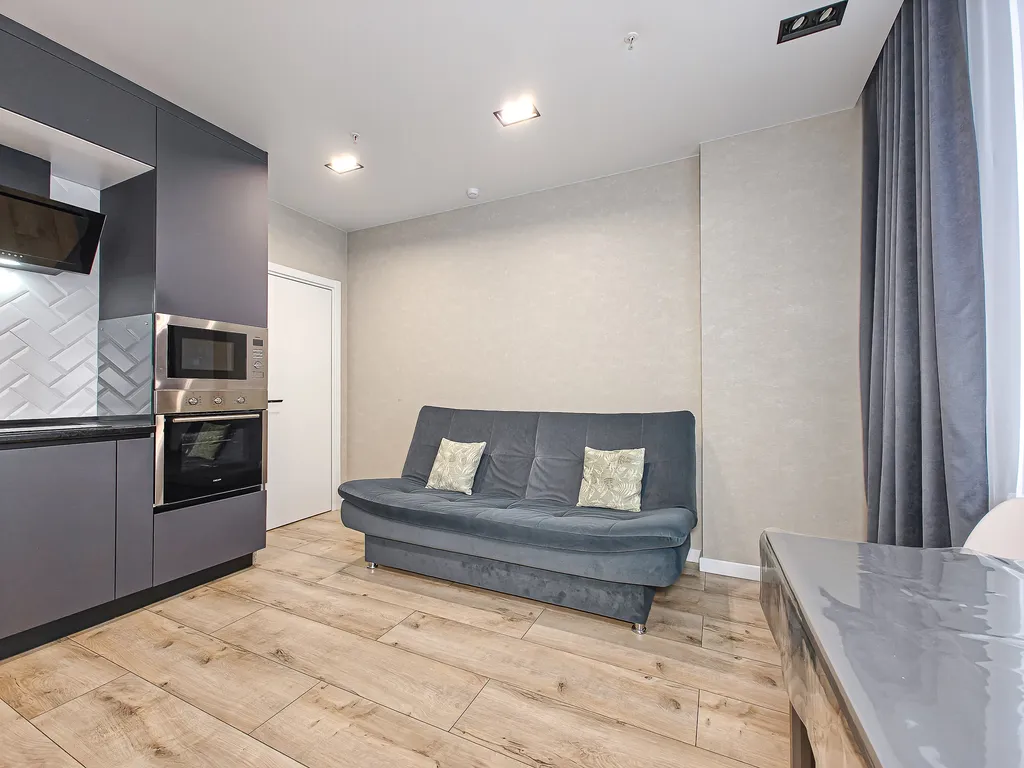 Двухкомнатная студия с шикарным видом на реку Михайловской набережной