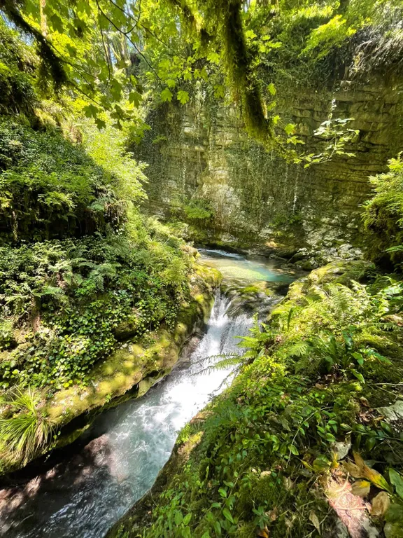 Уютные семейные апартаменты Абхазии