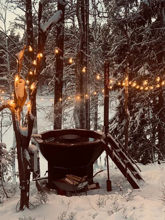 Руна Леса Карелия