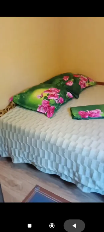 Уютный коттедж-студия