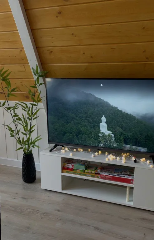 Современный дом в сосновом лесу в 30 минутах от аэропорта