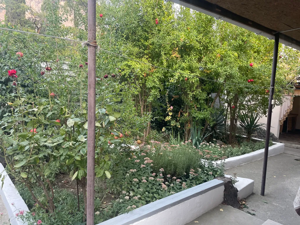 Гостевой дом Гранатовый Рай