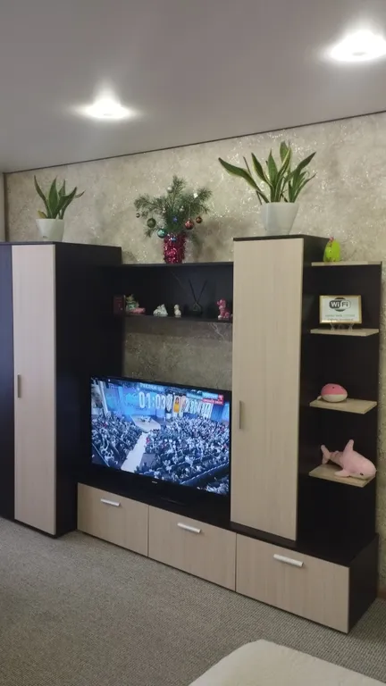 Апартамент возле Спорткомплекса ФОК